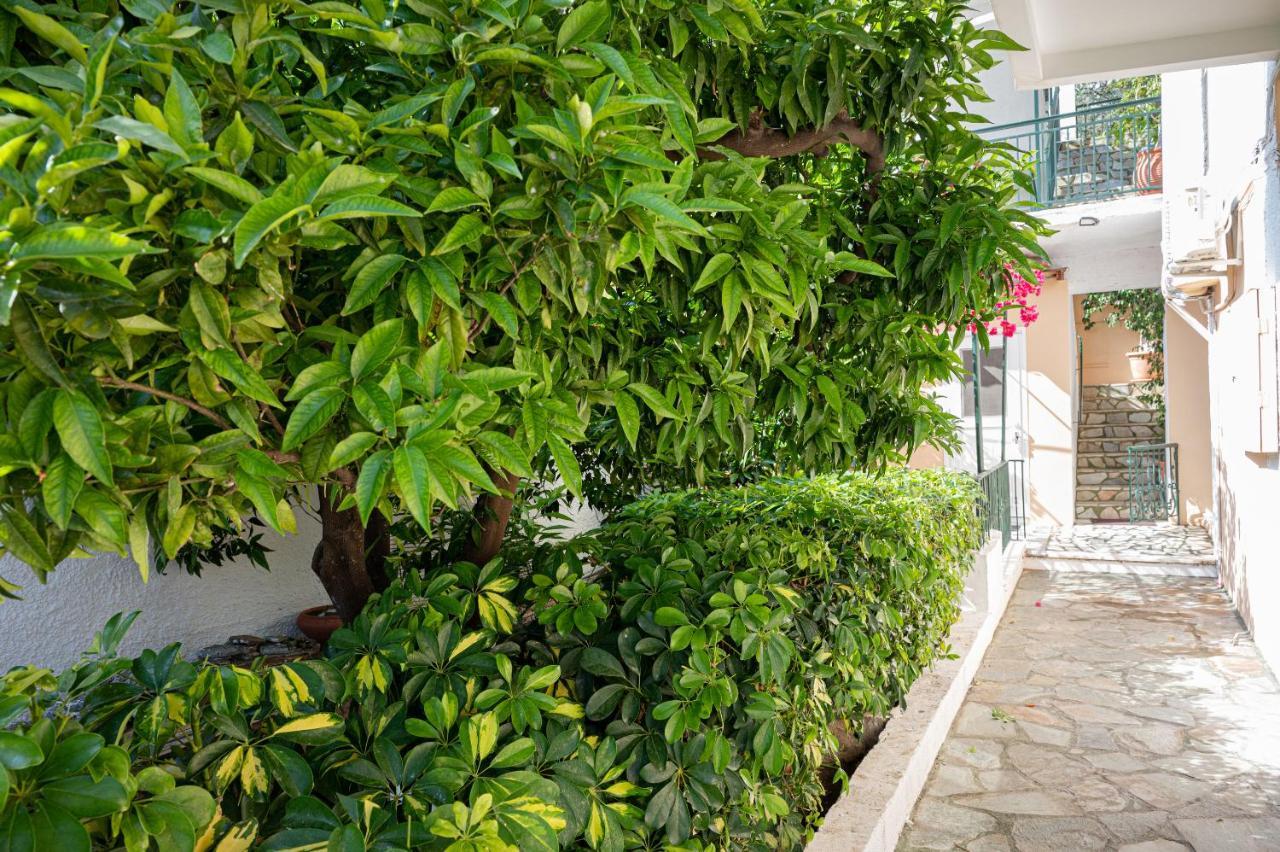Villa Sofia Sea View Πόρος Εξωτερικό φωτογραφία